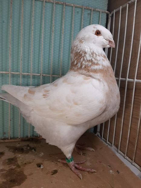 IMG-20251222-WA0011 - Tineri 2025