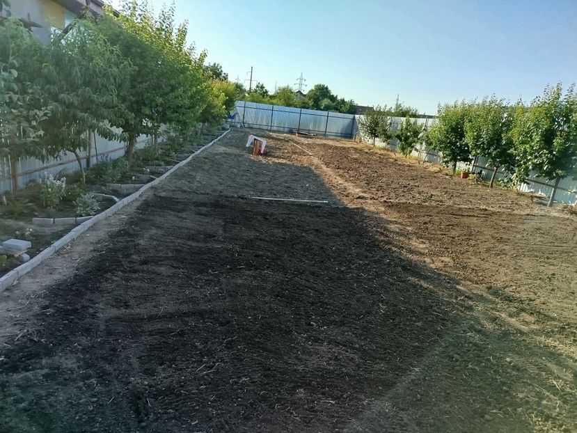  - Primele flori plantate