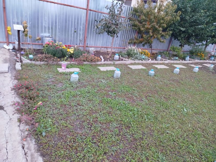 14 octombrie - Siderate