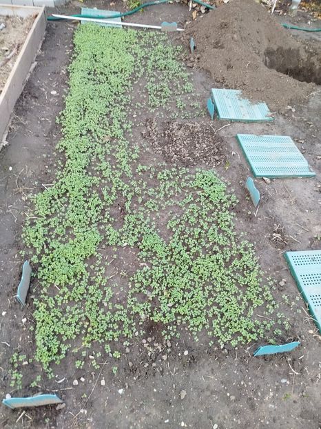 14 octombrie - Siderate