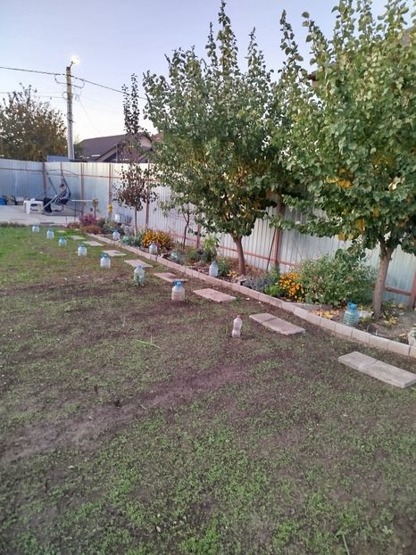 29 octombrie - Siderate