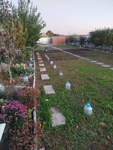 29 octombrie - Siderate