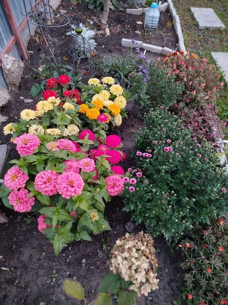 14 octombrie - Oct-nov