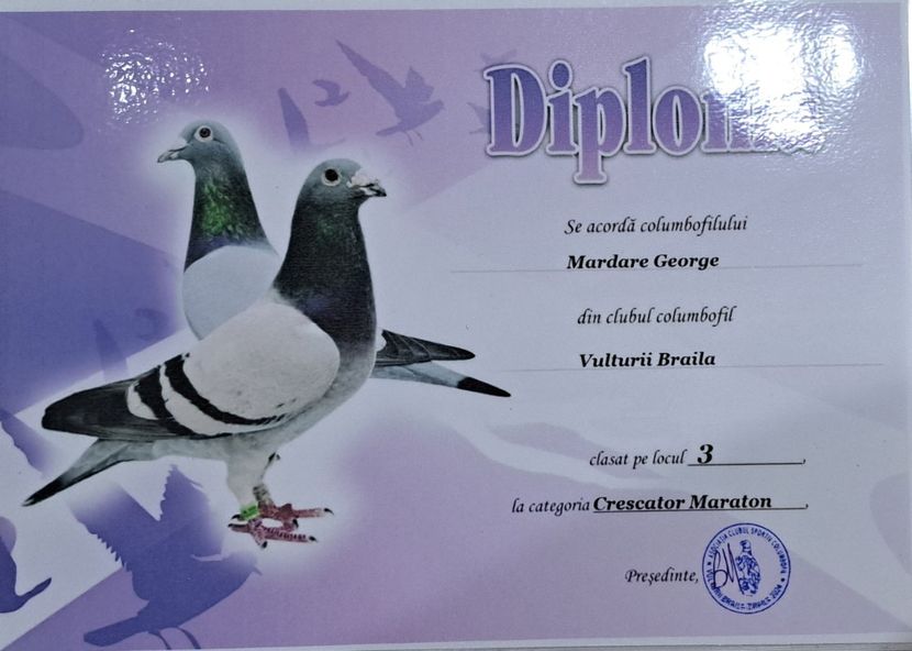 Loc 3 Crescatori Maraton - Diplome