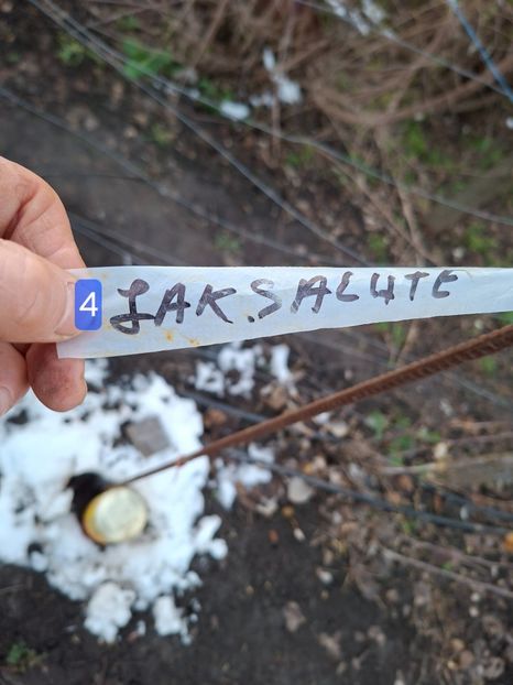  - Rand vest extrem gard minel