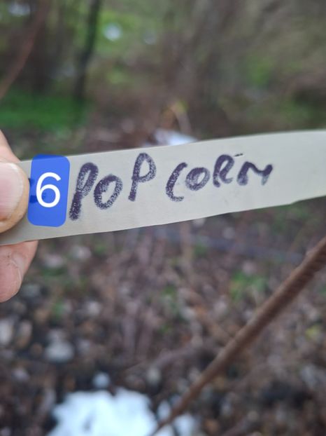  - Rand vest extrem gard minel