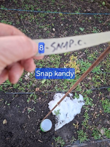  - Rand vest extrem gard minel