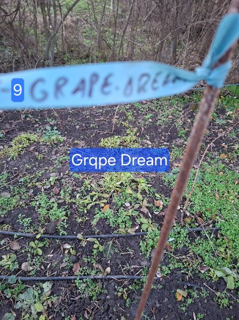  - Rand vest extrem gard minel