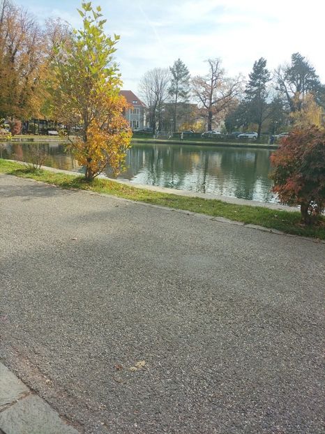 Imagine WhatsApp 2025-11-03 la 11.55.31_22ab257d - 2025 BUNICA in Parc 3 nov