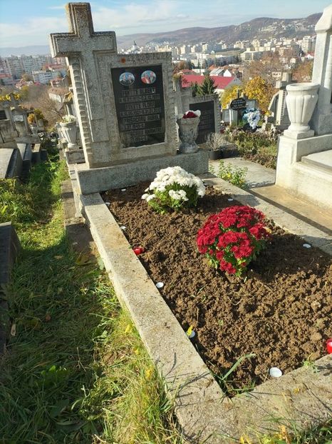 Imagine WhatsApp 2025-10-30 la 15.53.23_ea2d5231 - 2025 MORMĂNT 30 oct