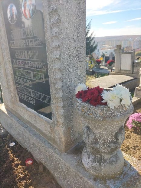 Imagine WhatsApp 2025-10-30 la 15.53.24_6bad9348 - 2025 MORMĂNT 30 oct