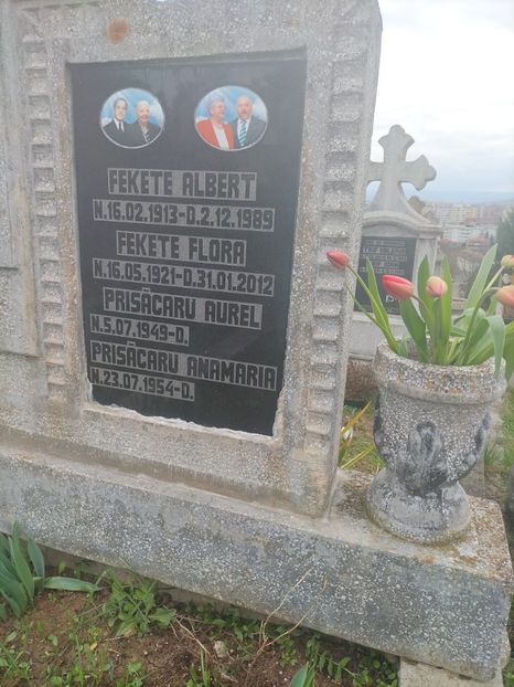 Imagine WhatsApp 2025-04-12 la 16.21.38_a8e29017 - 2025 MORMĂNT 12 APRILIE