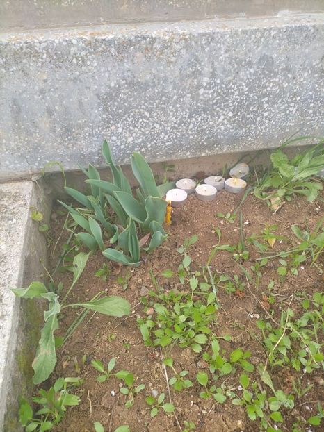 Imagine WhatsApp 2025-04-12 la 16.29.31_c70a4253 - 2025 MORMĂNT 12 APRILIE