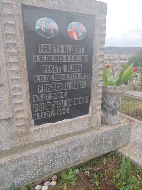 Imagine WhatsApp 2025-04-12 la 16.29.41_d4ec1d52 - 2025 MORMĂNT 12 APRILIE