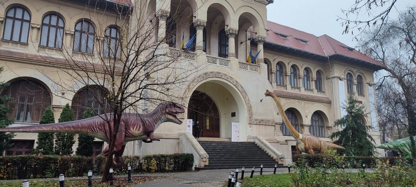  - București nov-dec 2025