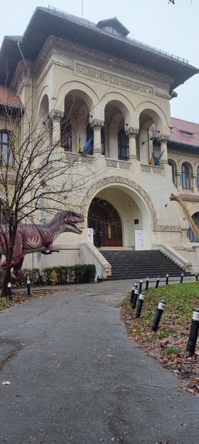  - București nov-dec 2025