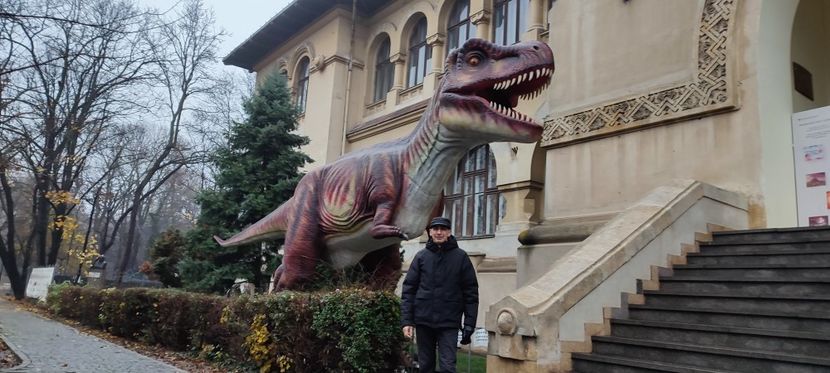  - București nov-dec 2025