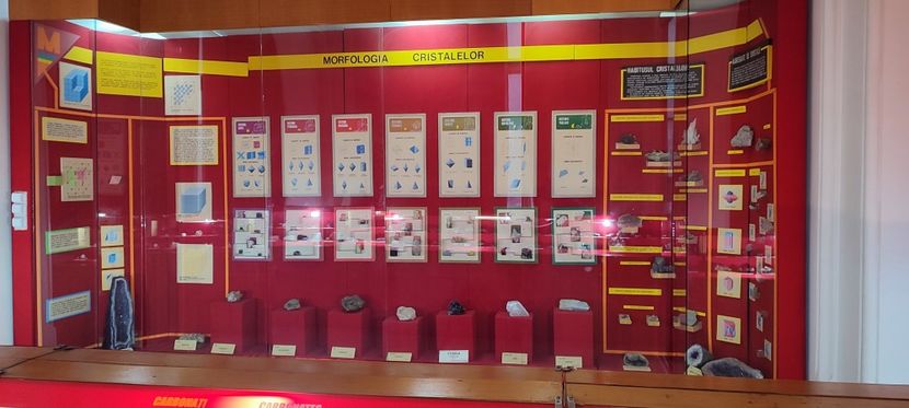  - București nov-dec 2025