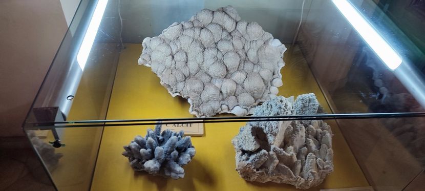  - București nov-dec 2025