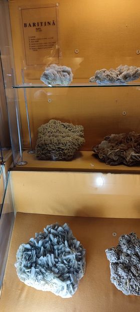  - București nov-dec 2025