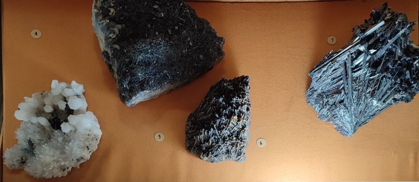  - București nov-dec 2025