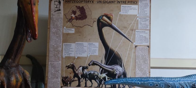  - București nov-dec 2025