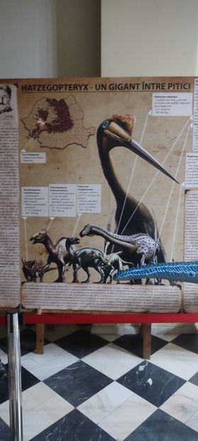  - București nov-dec 2025