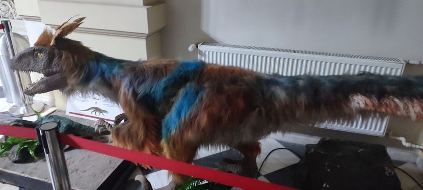  - București nov-dec 2025