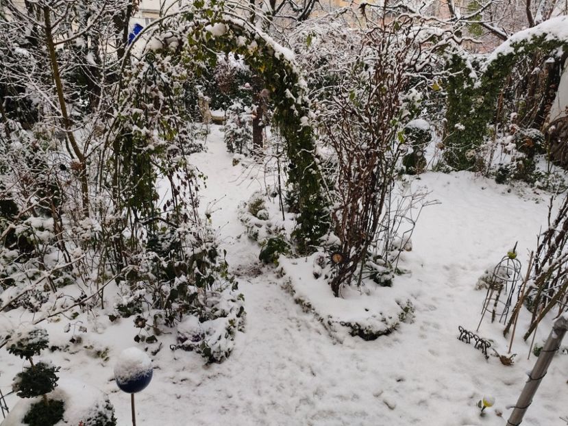 02.01.2026 - Grădina 2026