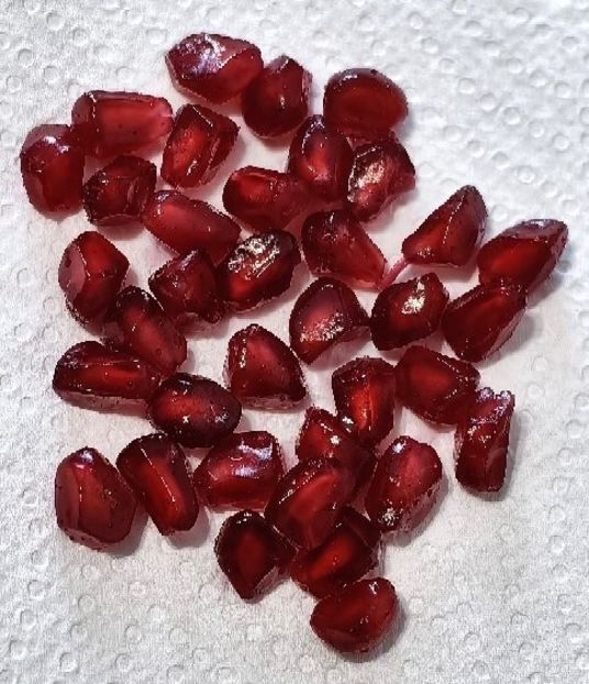 4 Februarie 2025 - RODIU - plante din seminte