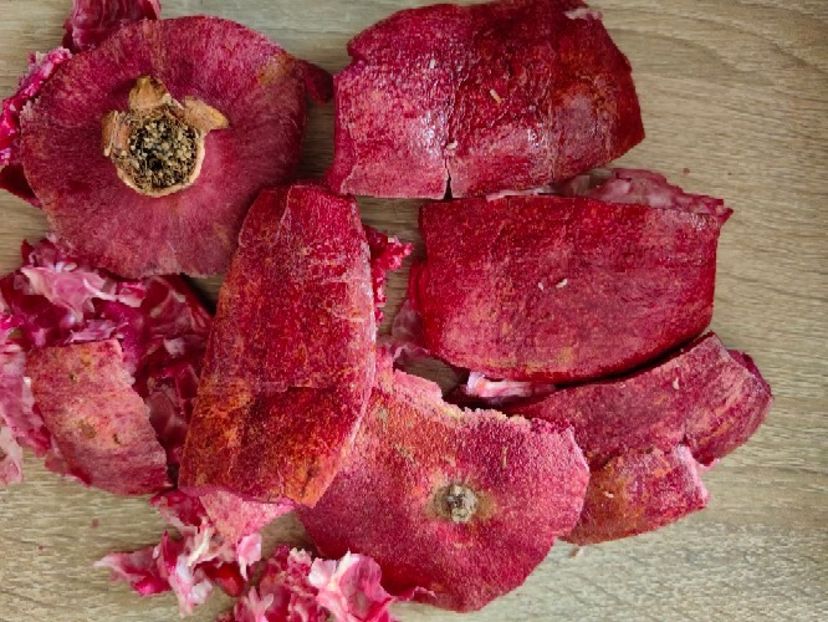  - RODIU - plante din seminte