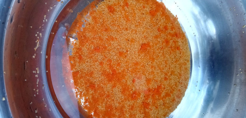  - -GOJI - LYCIUM BARBARUM