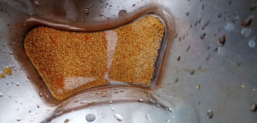  - -GOJI - LYCIUM BARBARUM