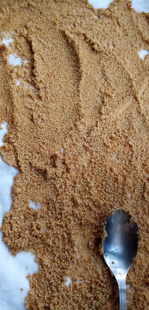  - -GOJI - LYCIUM BARBARUM