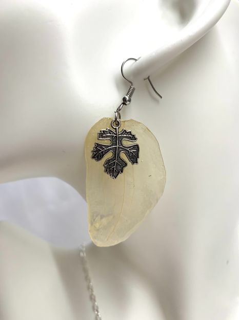 image00035 - 2024-2025-orhidee-seturi