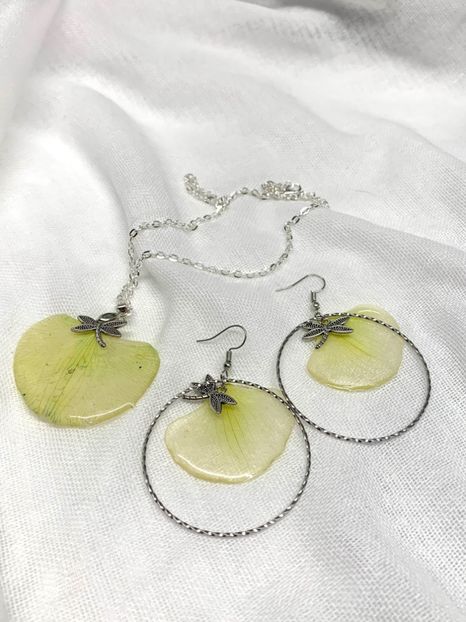 image00049 - 2024-2025-orhidee-seturi