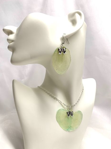 image00032 - orhidee- seturi