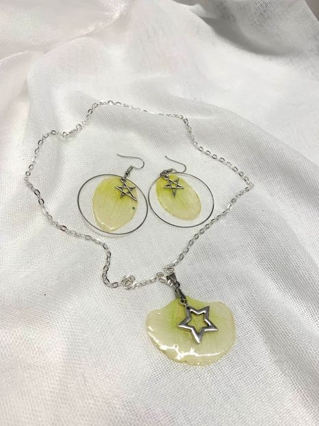 image00046 - orhidee- seturi