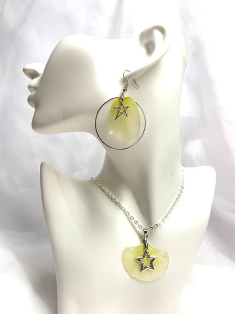 image00048 - orhidee- seturi