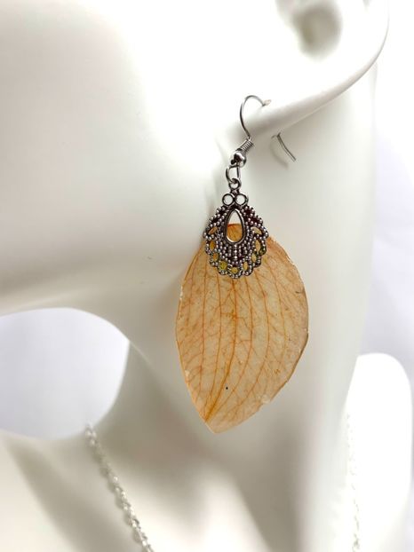 image00038 - orhidee- seturi