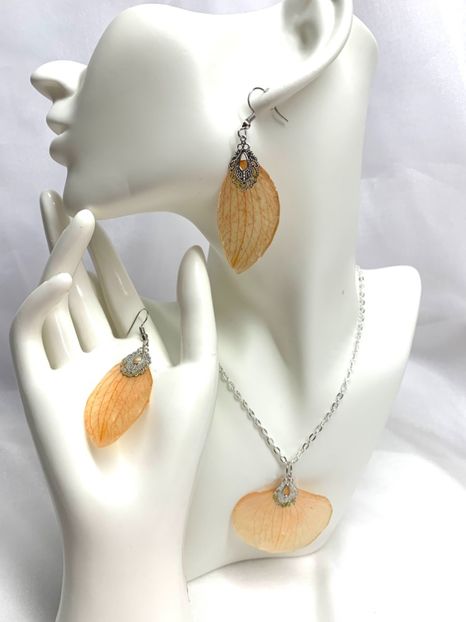 image00039 - orhidee- seturi