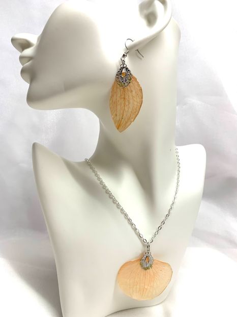 image00040 - orhidee- seturi