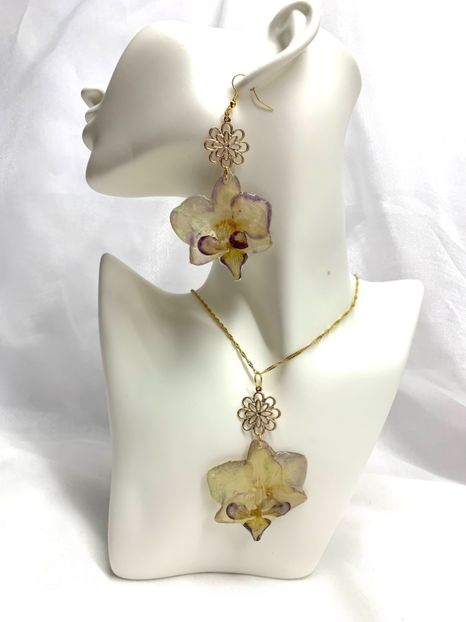 image00042 - orhidee- seturi