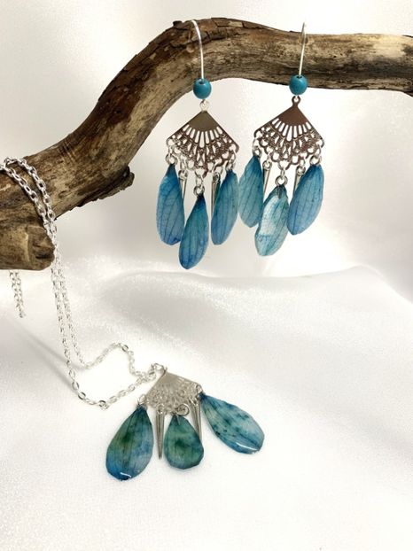 image00075 - orhidee- seturi