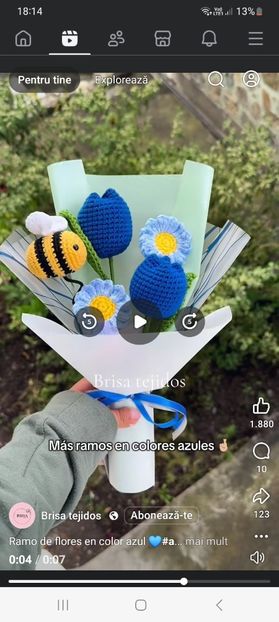 Screenshot_20260106_181445_Facebook - Obiecte crosetate