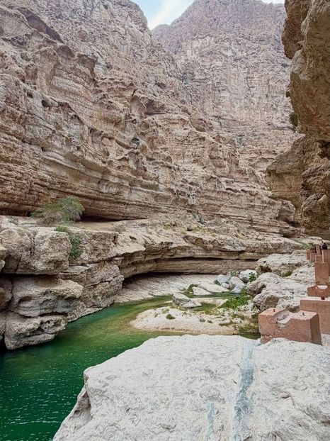 85f4fb5a-2ff8-423b-9a76-0659d8cef524 - Alina 2026 1