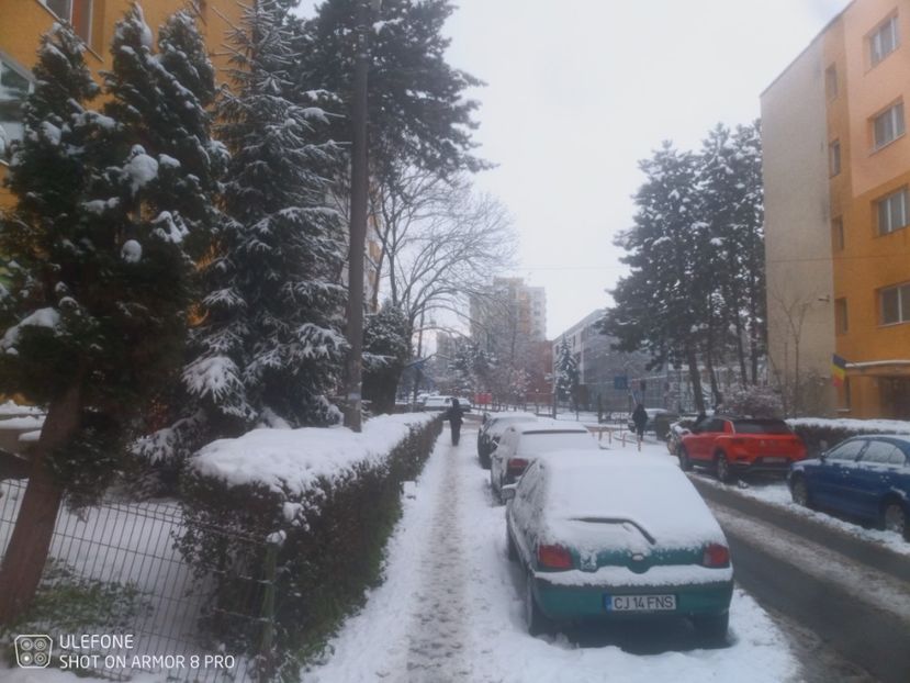  - Cluj under snow