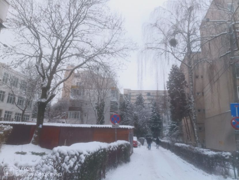  - Cluj under snow