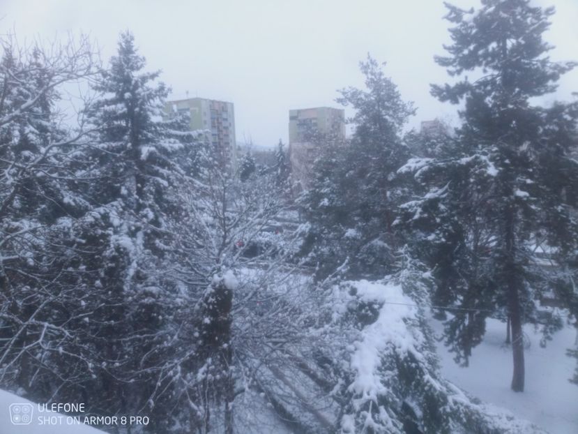  - Cluj under snow