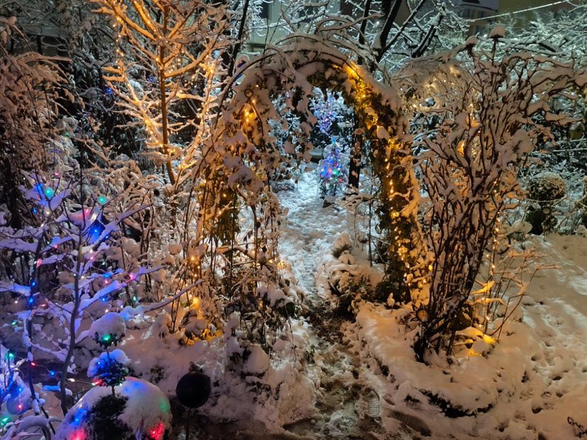 07.01.2026 - Grădina 2026